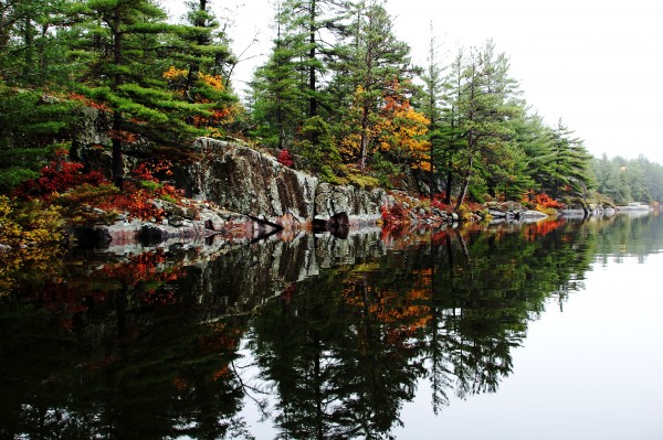 Misty Fall by Deb Oppermann